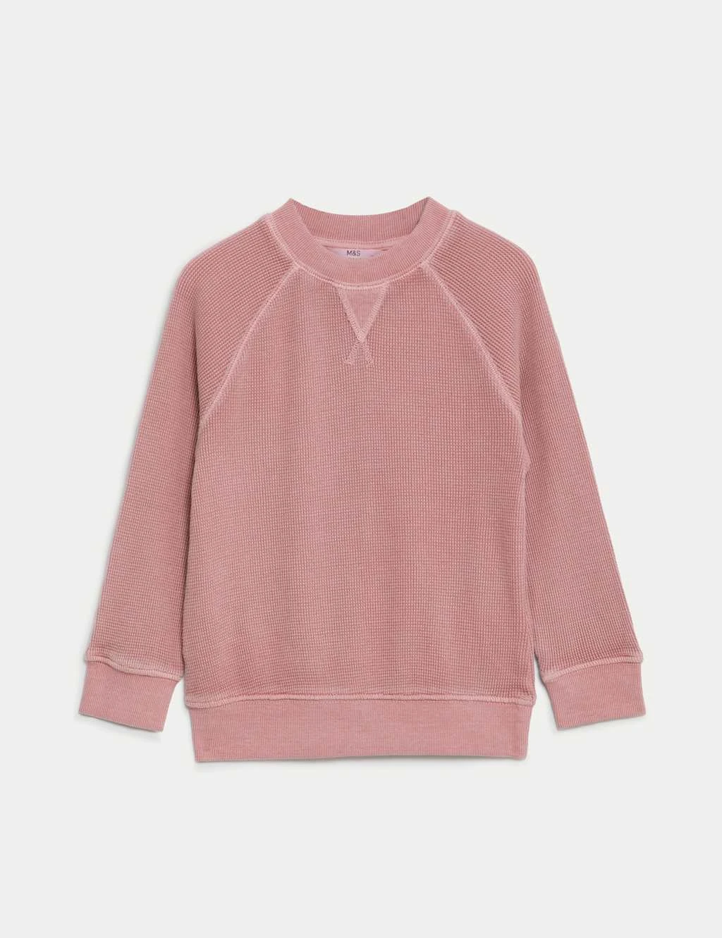 Pure Cotton Sweatshirt (2-8 Yrs) 1 Pure Cotton Sweatshirt (2-8 Yrs)